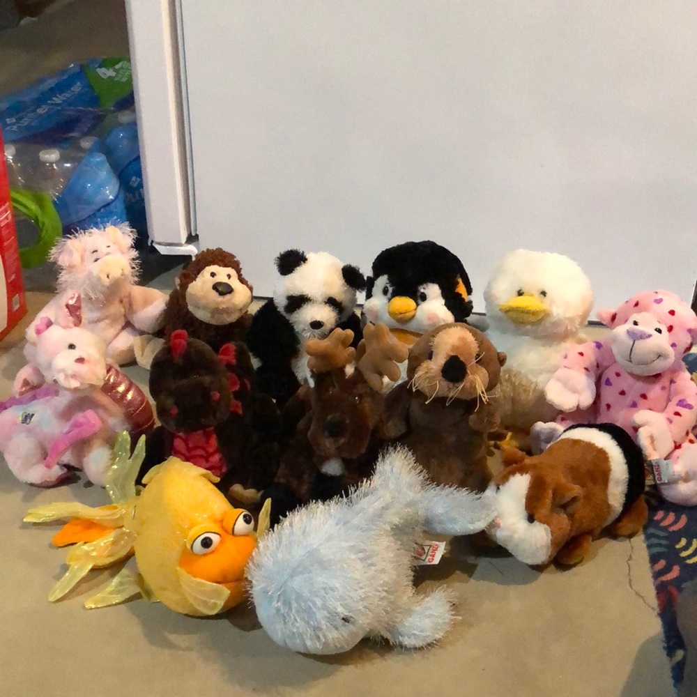 Webkinz- limited edition and full size! No codes.